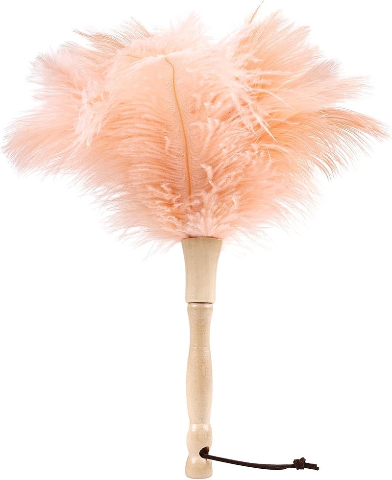 MehelloFeather Ostrich Feather Duster 12 Inch Handheld Duster Supplies, Wooden Handle Feather Duster for Cleaning Keyboard Home Car Office (Champagne) - Image 1